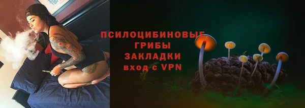 ALPHA PVP Арсеньев