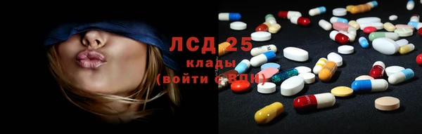 прущие крисы Аркадак
