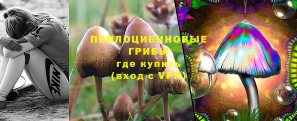 ALPHA PVP Арсеньев