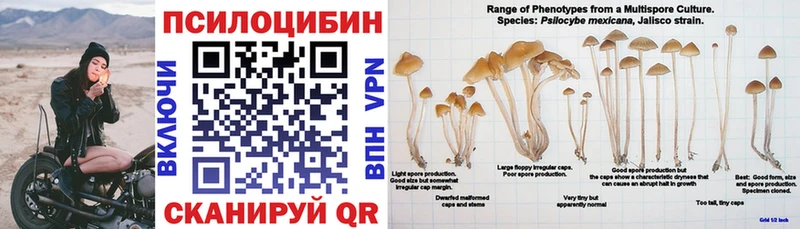 omg зеркало  наркота  Починок  Псилоцибиновые грибы GOLDEN TEACHER 
